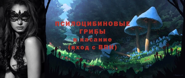 ешки Богородицк